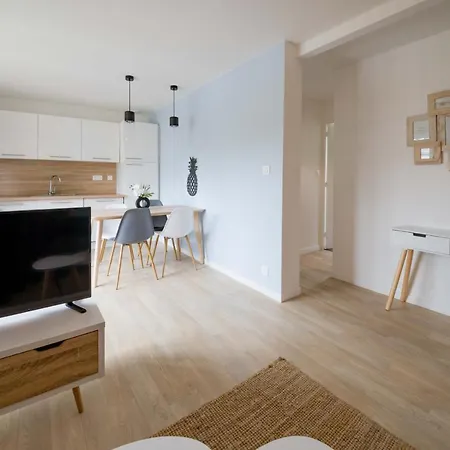 Appartement 3 Chambres - Parking - Wifi - Buanderie - Jardin Brest Exterior foto